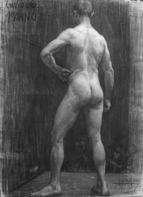 Nu masculino de costas (academia)